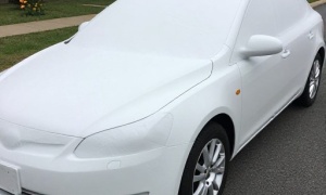 авто одеяло зимой