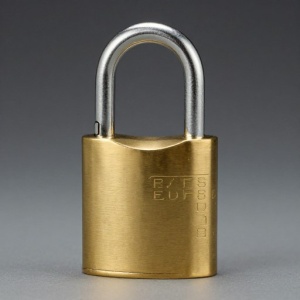 личинка замка